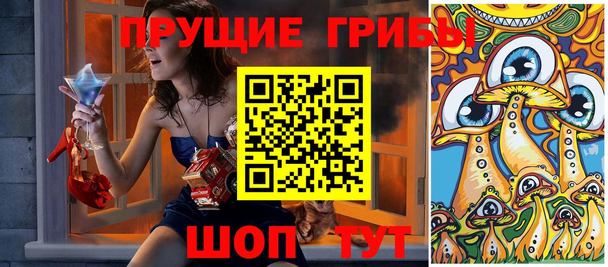 Галлюциногенные грибы Psilocybine cubensis Кызыл