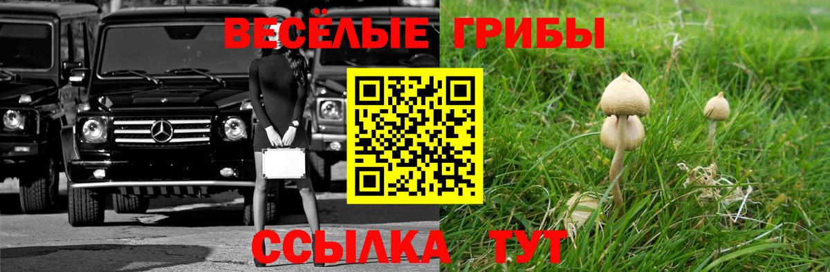 Кызыл  Псилоцибиновые грибы MAGIC MUSHROOMS  Псилоцибиновые грибы Psilocybe  Вход с VPN 